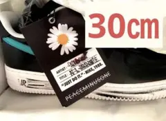 【新品】G-DRAGON NIKE AIR FORCE 1 パラノイズ 30cm
