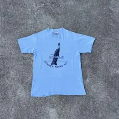 70年代　Hanes ヘインズ　USA製　アメリカ製　プリントTシャツ　Tシャツ