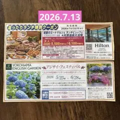 ヒルトン　小田原　初夏のミートマルシェランチブッフェ➕天然温泉　クーポン券のサムネイル