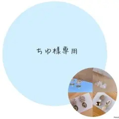 ちゆ︎ ︎✿·͜·様専用