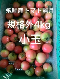 懐古トマト～赤い恋人～緑のミニトマト 4キロ - メルカリ