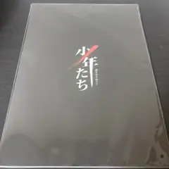 少年たち 闇を突き抜けて パンフレット 美少年