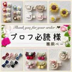 プロフ必読 様専用ページ♥ ベビーヘアクリップ ヘアピン ヘアゴム 髪飾り