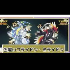 ポケモン レジェンズ ZA 販売記念 コライドン ミライドン