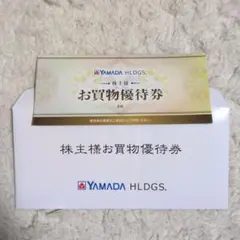 YAMADA HLDGS. ヤマダデンキ　お買物優待券 6枚セット3,000円分