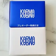 Stray Kids KARMA 通常盤2種セット