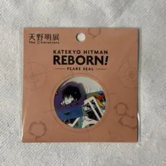 【最安値】天野明展 家庭教師ヒットマンREBORN! フレークシール