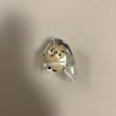 ちいかわマスコットつきBiscuit ラッコ1つ