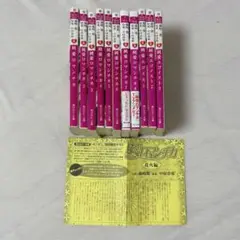純愛ロマンチカ 純愛エゴイスト 　小説セット