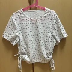 Item thumbnail for item e3554ac3-4269-4064-af44-4fdf9ee0f22d