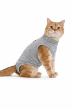 Item thumbnail for item 9a4145d1-da47-421a-a006-5ee65e6fb637