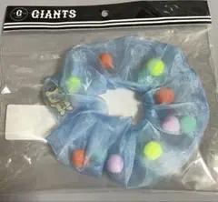 ジャイアンツ　大城卓三　オオシーサー　シュシュ