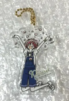 新テニスの王子様 ゆるスタ花冠アクリルキーホルダーコレクション遠山
