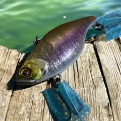 Item thumbnail for item 88a93fac-78c8-4f82-99e2-0dc8b651309c