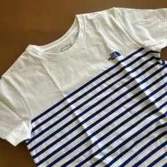 THE NORTH FACE ストライプTシャツ 半袖