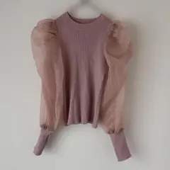 ブルーイースト シースルーブラウス 長袖 肩パフ 胴体リヴ生地 細身 女性