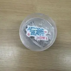 嵐We are ARASHI 　ライブロゴマグネット Hawaii