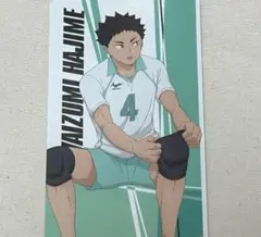 ハイキュー！！ 岩泉一 カード アニメイト特典