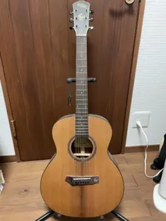 Gopher Wood i200R ローステッドスプルース単板 Amazon | Gopher Wood Guitars i200R アコースティックギター初心者12