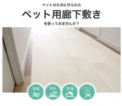 Item thumbnail for item ee104c53-e2b4-4d54-8415-9a78697938a3