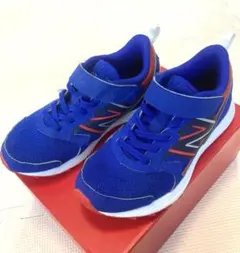 Item thumbnail for item 70c9a1a5-b230-4a99-9f33-c9824f80820c