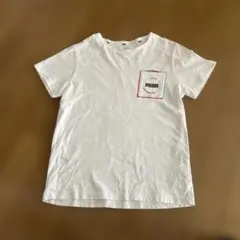 プーマ　Tシャツ　150のサムネイル
