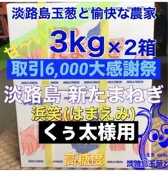 くぅ太様用＜大感謝祭＞淡路島産 新玉ねぎ 浜笑 3kg×2箱 高糖度 新たまねぎ