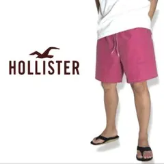 HOLLISTER｜水陸両用ハイブリッドショーツLホリスターアバクロルール925