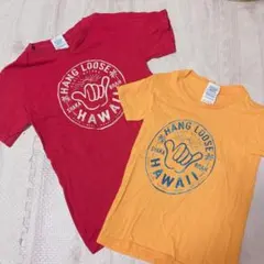 Tシャツ2枚セット　Hawaii