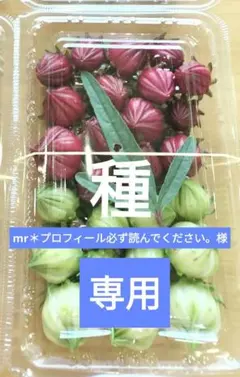 mr＊プロフィール必ず読んでください。様専用　ローゼル赤と白のサムネイル