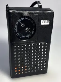 Panasonic RF-506 AM/FM ポータブルラジオ 本体+専用ケースのサムネイル