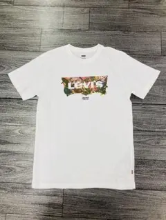 Item thumbnail for item 69d1bcc8-139a-4cb0-8d67-7557edd0ff51