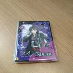 【あんさんぶるスターズ！】UNDEAD カード付きアクリルフレーム