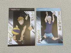 ハイキュー!! ポストカード 宮 星海 2枚セット