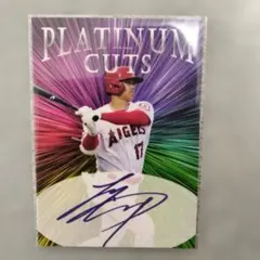 2026年最新】大谷芳照の人気アイテム - メルカリ