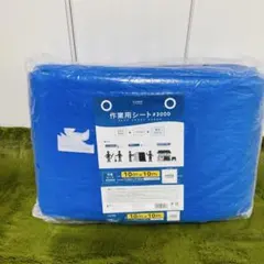 超メルカリ市期間限定16日迄 夏眠クール敷パッド PREMIUM 2枚セット