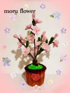 Item thumbnail for item 2cec7952-5d4d-40c8-a3b5-57dbbd9da597