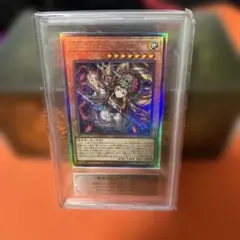 ARS鑑定 エンシェント・フェアリー・ドラゴン レリーフ グレード8