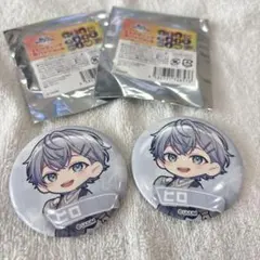 カラフルピーチタワー　缶バッジ　ヒロくん　ひろくん　2個セット　からぴち