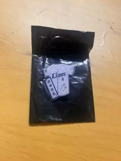 Item thumbnail for item af749ef7-418a-4723-89a6-c01745323be2