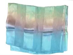 Item thumbnail for item 8934a1b5-422c-4d79-b544-5a3902bc9087