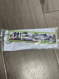 新品美品】JAL GLOBAL CLUB ネームタグ（亀タグ) - メルカリ