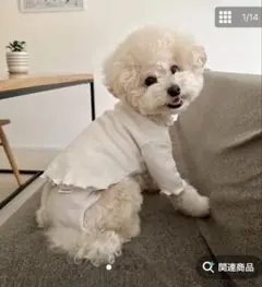 『新品未使用』small stuff 犬服　レインコート 新品未使用』small stuff 犬服 レインコート - メルカリ