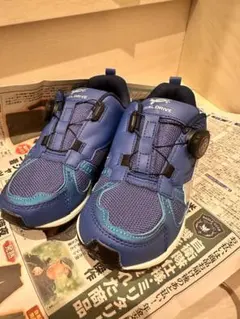 Item thumbnail for item 73461638-e589-4fe5-9072-19f40ddb56f1