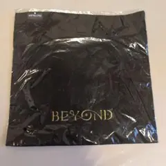 浅田真央　BEYOND グッズ 2026年最新】浅田真央 beyondの人気アイテム - メルカリ