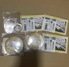 Dr.STONE 西園寺羽京 DMMスクラッチ キーホルダー フォトカードのサムネイル
