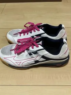 Mizuno ウエーブカイザーブルク7 3E