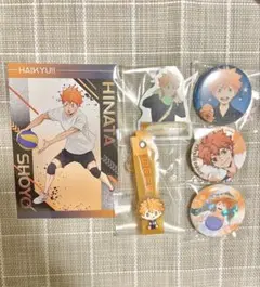 【ハイキュー】日向翔陽セット