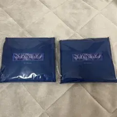Disney アンバサダーホテル エコバッグ2個セット