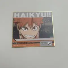 ハイキュー 一番くじ ゴミ捨て場の決戦2 日向翔陽